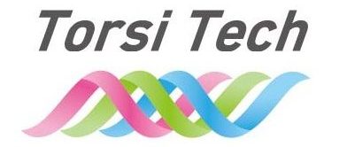 cropped-torsi-tech-logo.jpg