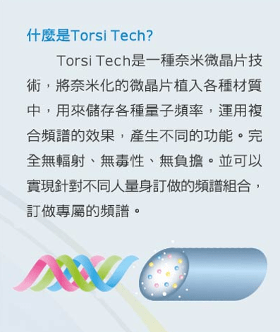 Torsi Tech1